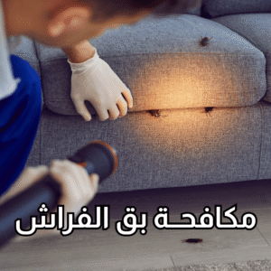 أفضل شركة لمكافحة بق الفراش