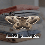 أفضل شركة لمكافحة العثة