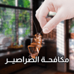 أفضل شركة لمكافحة الصراصير